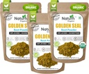 Naturefi Organic Goldenseal Root Powder - 10.5 oz, 300 Servings *USDA Organic | Lab Tested* Pure Natural Goldenseal Root Powder Supplement