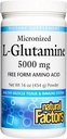 Natural Factors Micronized L-Glutamine 5000 מ"ג אבקת - Easy Absorption Gut Health Support תוסף - אבקת Amino Acid תומכת בשיקום שרירים - 16 oz (90 משרתים)