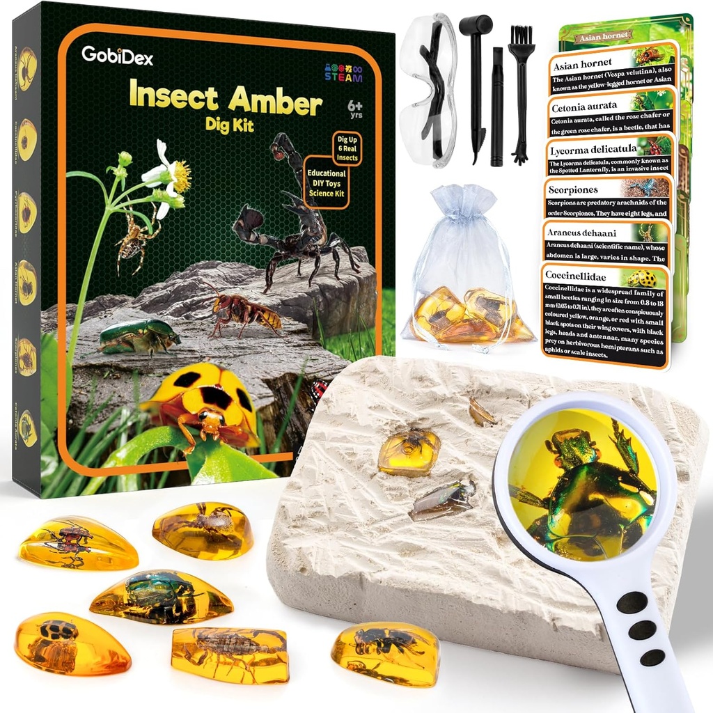GobiDex Amber Dig Kit-A מלאכותי Insect Resin, insectate 6 Insects Specimens, STEM גיאוגרפי חינוך באגים צעצועים, גידול צעצועים עבור מסיבת באגים Fun Bugs Party Favors, מדע Kits לילדים בגילאי 6-8-12-8