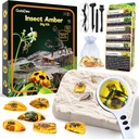 GbiDex Amber Dig Kit-Artical Restin, Excavate 6 Insects Spemens, Blows giáo dục địa lý cơ bản, đồ chơi giải trí cho tiệc vui vẻ, Khoa học Kits cho trẻ em 6-8-12 tuổi
