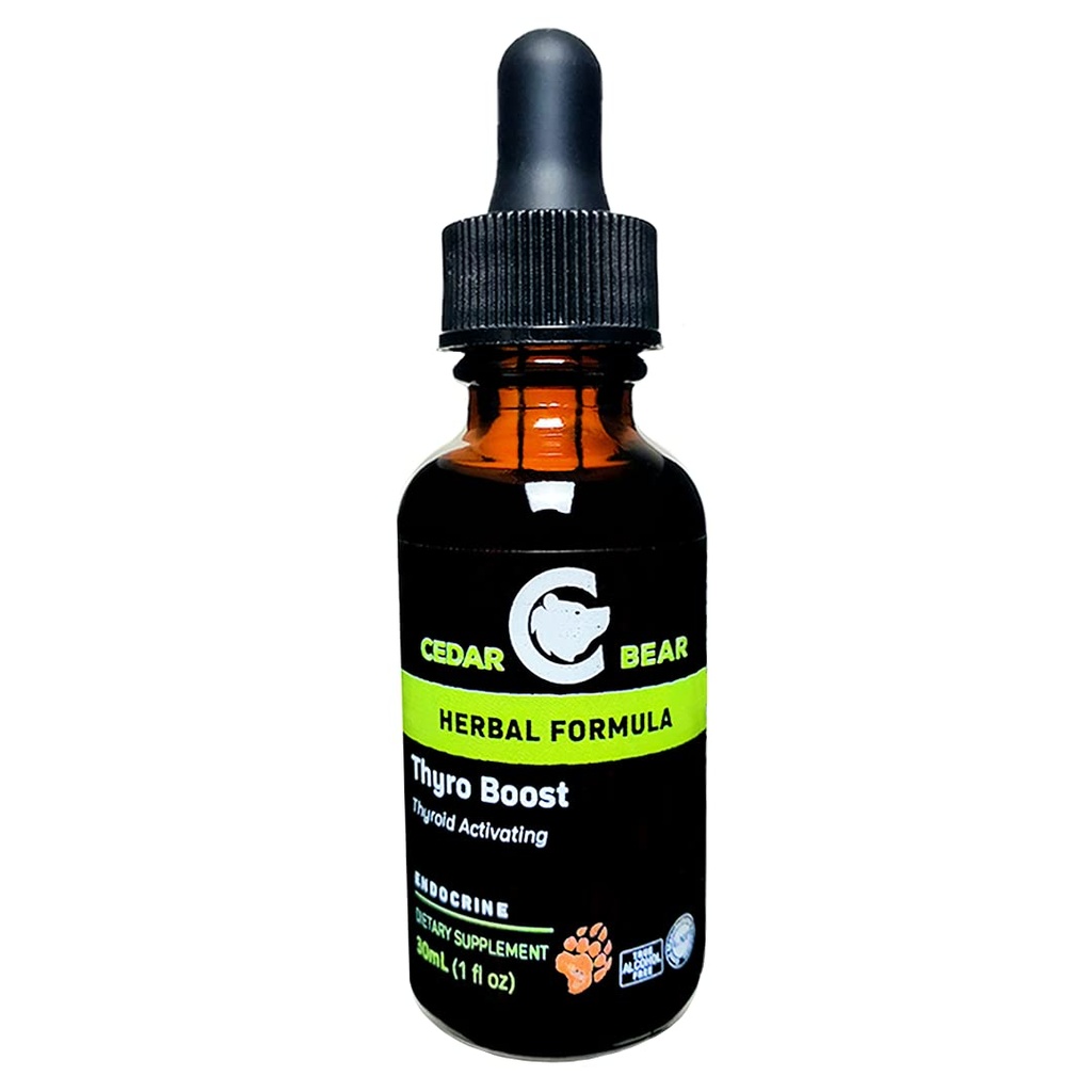 Cedar Bear Thyro Boost a Liquid Herbal Supplement That Helps Activate and Build Thyroid Function and Structural Integrity 1 Fl Oz