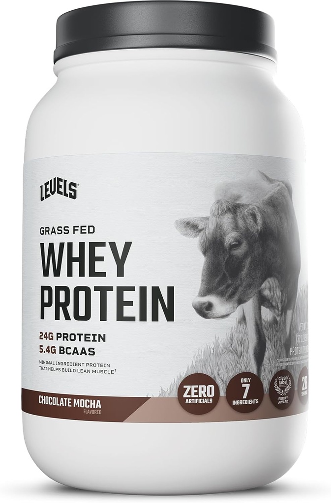 רמות Grass Fed Whey חלבון אבקת, לא מלאכותיים, 24G של חלבון, שוקולד Mocha, 2LB