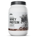 Levels Grass Fed Whey Protein Powder, No Artificials, 24G of Protein, Chocolate Mocha, 2LB