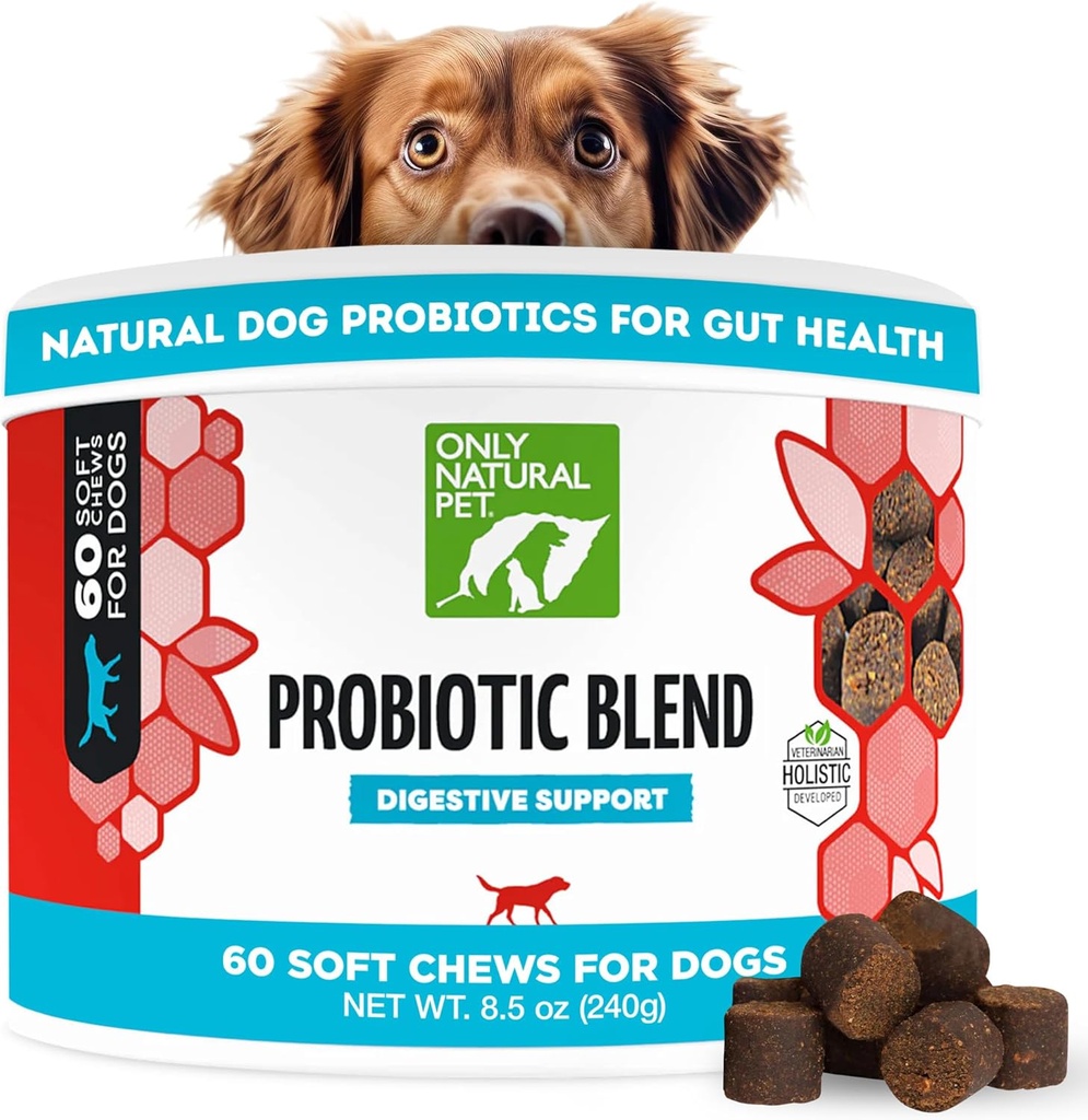 רק כלב טבעי Pet Probiotic ו Cat תוסף - Digest & Gut Health Enzyme Formula, Puppy & Canine Digestive Chews, הטוב ביותר עבור Stomach & Gas Aid - Soft Chews, 60 Count.