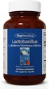 Allergy Research Group Lactobacillus תוסף - Probiotics for Men & Women, Digestive Health, Gut Health, Vegetarian כמוסות - 100 Count Count