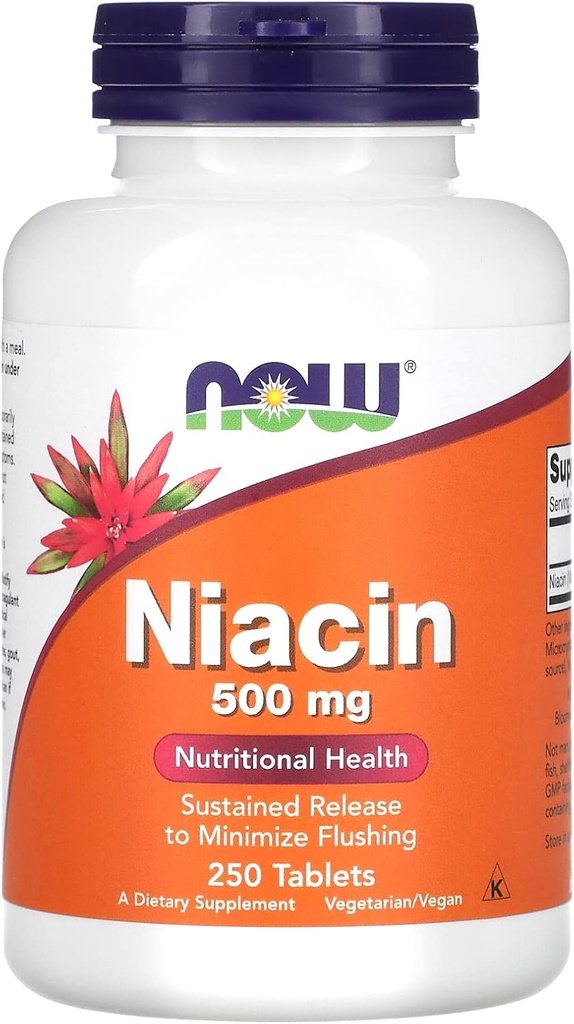 Hiện nay thực phẩm - Niacin 500 mg 250 tab (Pack 2)