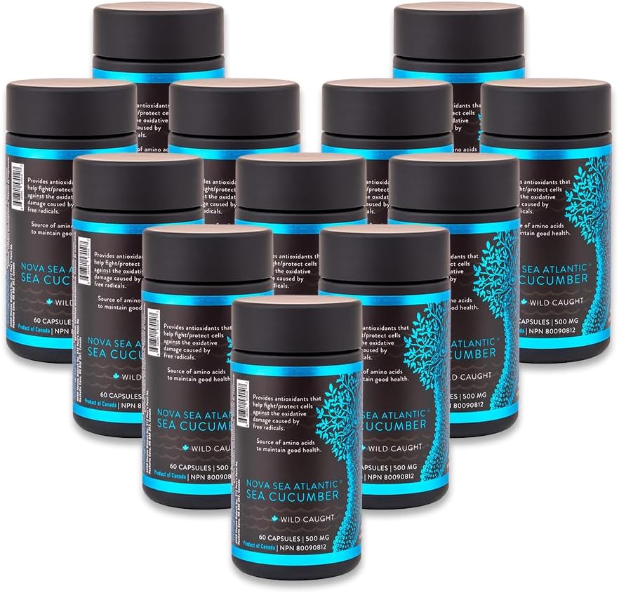 Suplemento de Pepino do Mar, Cápsulas de Pepino do Mar Selvagens Capturadas com Condroitina Fucosilada Vitaminas Mineral — Suplemento Natural Antioxidante para Idoso Adulto Criança (Pacote de 12)