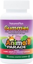 NaturesPlus Animal Parade Source of Life Gummies - Natural Orange, Grape and Cherry Flavors - 75 Animal Shaped Gummies - Whole Food Kid's Multivitamin - Gluten-Free - 37 Servings