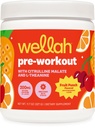 Wellah Pre-Workout Drink Mix (Fruit Punch Flavored, 30 Servings) - with Citrulline Malate and L-Theanine, 200mg of Natural Caffeine & 1000mg of Beta-Alanine