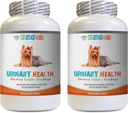 Dog Bladder Pills - Dog Urinary Health Formula - Incontinence və Bladder Issues ilə kömək - Immune Boost - Dog Urinary Health - 2 Şüşə (180 müalicə)
