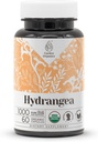 Hydrangea USDA Organic 60 Capsulatory 124; Circulatory System, High- Potency Natural Supplement Aviation 124; Certified Organic Vegetarian Capsules and Organic Hydrangea (Hydrangea arborescens) Szárított Gyökér (60 Capsules)