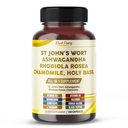 St. John's Wort Ashwagandha Rhodiola Rosea Chamomile