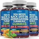 Sea Moss Gummies, Sea Moss, Чорний Seed, Ashwagandha, Турмерик, Manuka Мед, ACV, Dandelion, Чорний перець, Бурдок, Bladderwrack, Vegan- 180 Count