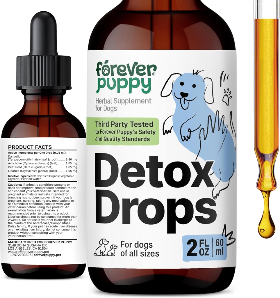 Ikuisesti Pentu Detox Drops koirille - Voikukka Root & Voikukka Leaf Tincture maksan ja munuaisten tuki - Herbal Detox & antioksidantti tuki täydentää koirille kaikki rodut & koko - 2 fl oz