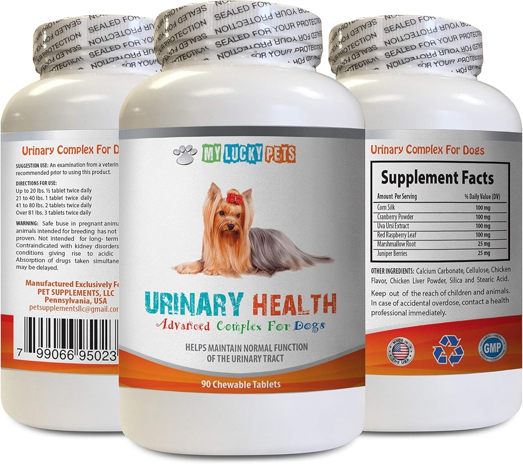 כלב Urinary תוסף - כלב Urinary Health Formula - מסייע עם Incontinence and Bladder בעיות - Immune Boost - קורני משי לכלבים - 1 בקבוק (90 טיפולים)