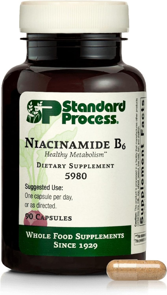 Processo padrão Niacinamida B6 - Suporta Metabolismo de Energia e Saúde do Sistema Nervoso - Ajuda Fluxo de Sangue e Saúde Digestiva com Niacina e Vitamina B6 - Não-Lacticínio - 90 Cápsulas