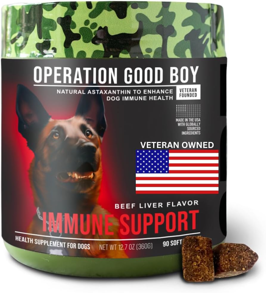 Operation Good Boy Immununterstützungsergänzung für Hunde, Vitamin C Chews – 90 Weiche Bäume, natürliche Inhaltsstoffe, Veteran besitzend, Rindfleisch aromatisiert