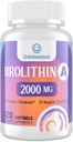 Urolithish A Suplemen 2000mg