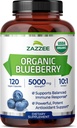Zazzee USDA Organic Blueberry 10:1 Özü, 5000 mg Strength, 120 Vegan Capsules, 4 ay təchizatı, Kondisioner və Standartlaşdırılmış 10X Bütün Fruit Ekstraktı, 100% Vegetarian, Qeyri-GMO, Amerikada Yapıldı