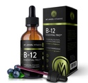 Mt. Angel Vitamins - B12 Essential Trio - Vegan Sublingual Drops with High-Potency Methyl B12, B6 & Folate - Easy Absorption Liquid - Non-GMO, Made in USA
