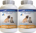 Dog Immune Support - PET Immune Support - for Dogs and Cats ONLY - Natural - VETS Choice - Dog Turmeric Supplement - 120 Treats (2 Bottles)