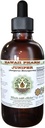 Juniper Alkol-Free maye özü, Organic Juniper (Juniperus Monosperma) sol Berry Glycerite Hawaii Pharm Natural Herbal Supplement 4 oz