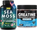 Mar Moss &amp; Cretina Monohydrate Gummies Bundle 270 Conde – Moss Mar Orgánico Negro Semilla Aşhwagandha Ginger &amp; Creatine Monohydrate (2 Pack)