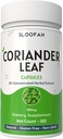 Coriander Leaf קפסולות 500 מ"ג | ייצור של 10:1 | Coriandrum sativum | תוסף צמחי | No Fillers | Non-GMO | פורמולה מבוססת צמחית לשימוש יומיומי (180 הרוזן (Pack of 1))
