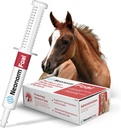 Jaguar Animal Health Foal - Equine Supplement Paste для підтримки здоров'я Правильної гігієни та здоров'я кишечника - рослинно-опаливний продукт для передпосівних фонтанів (30 мл)