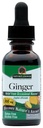 Nature's Answer Alcohol-Free Ginger Root, 1-Fluid Ounce | Inflammatory Support | Supports Digestion