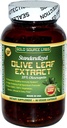 Organic Olive Leaf Extract Capsules - Pure Organic Olive Leaf Plus Standardisert Oleuropein Extract, 90 Vegetariske Caps, 400 mg Maks styrkekompleks for immun helse