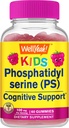 BemSim Kid's Phosphatidylserine Gummies (100mg) Phosphatidylserine Supplement □ Suporte cognitivo □ Framboesa sabor □ Gluten Free, Non GMO
