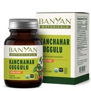 Banyan Botanicals Kanchanar Guggulu Tablets – Organic Lymph Supplement with Guggulu Resin – Promotes the Healthy Elimination of Natural Toxins* – 90 Tablets – Non-GMO Sustainably Sourced Vegan