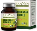 Banyan Botanicals Kanchanar Guggulu Tabletter – organiske lymfetilskudd med Guggulu Resin – fremmer den sunne eliminering av naturlige toksiner* – 90 tabletter – Ikke-GMO Sustainable Sourceed Vegan