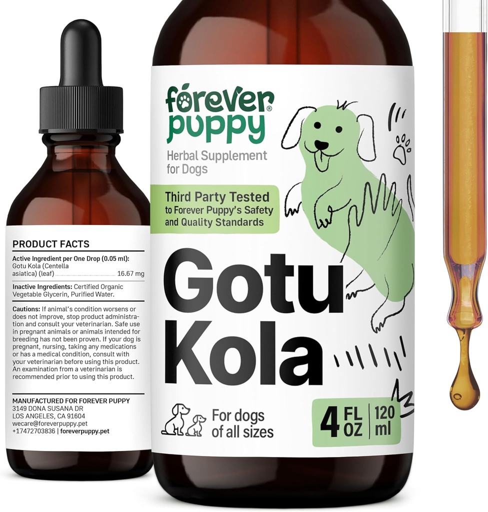 犬のための永遠にパピーGotu Kolaドロップ - 脳の健康サポートのためのGotu Kolaエキス&Centella Asiatica - すべての品種とサイズの犬のための栄養脳サプリメント - 4 oz
