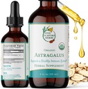 Astragalus Tincture - Immune System Support, Respiratory Support, Digestive System Support, Maca, Her Supplementbal - 2 Fl Oz
