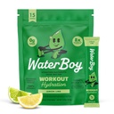 Waterboy Workout Hydration | 2,960mg Sugar Free Electrolyte Powder Packets | L-Glutamine + Vitamins | No Sugar, All Natural, Gluten Free | 15 Drink Stick Mixes (Lemon Lime)