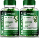 WELLNESS LABSRX Sea Moss Gumies, 3200mg Irish Sea Moss Mixed Berry Flavor z največjo moč Bladderwrack in Burdock Root - podpira kožo, energijo in imuniteto - 180 grof