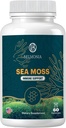 Sea Moss Gummies — Immune Strength & Skin Health, Organic Irish Moss Gummy Bears, 60 Count, Vegan, Superfood Chewable Supplement for Endurance & Health