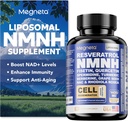 NMNH Supplement - 500mg per portie, Boosts NAD+ Niveaus, NAD-supplement ondersteunt Immune Health & Anti-Aging, 60 capsules