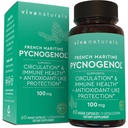 Viva Naturals Pycnogenol - 100mg French Maritime Pine Bark Extract – Supports Circulation, Antioxidant-Like Activity, Joints & Immune Health and Function – 60 Veggie Capsules