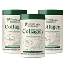大湖井 Collagen Peptides Powder for Skin, Hair, Nails, Joes & Digestion - 不受欢迎 - 快速溶解水解, Non-GMO, Keto, Kosher - 16 oz - 3 Pack