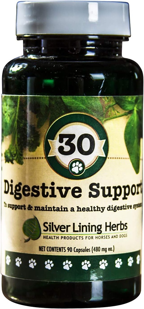 Silver Lining Herbs Dog Digestive Support - Dog Supplements for Healthy Digestion & Gut Function - Natural Herbal Blend Dog Vitamins med Slippery Elm Bark, Ginger & More - 90 kapslar