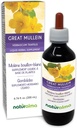 Grafalma Great Mullein atau Common Mullein (Verbascum Thapsus) Flower and Leaf Alcohol- Free Tincture - 6.76 fl oz Liquid Extract in Drops - Herbal Suplemen - Vegan
