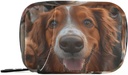 Weekly Pill Organizador Grupo Cans Golden Retriever Small Pill Box Bag Portable Travel Pill Case 7 días Suplemento de vitamina con Zipper para o negocio familiar