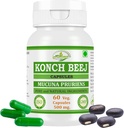 Kaunch MUCUNA PRURIENS Konch Beej, Kaunch Beej Extract Capsules ) Highest Potency, 100% Herbal Product . Pack of 60 X 500 mg. Veg. Capsules (Pack of 1 Jar)