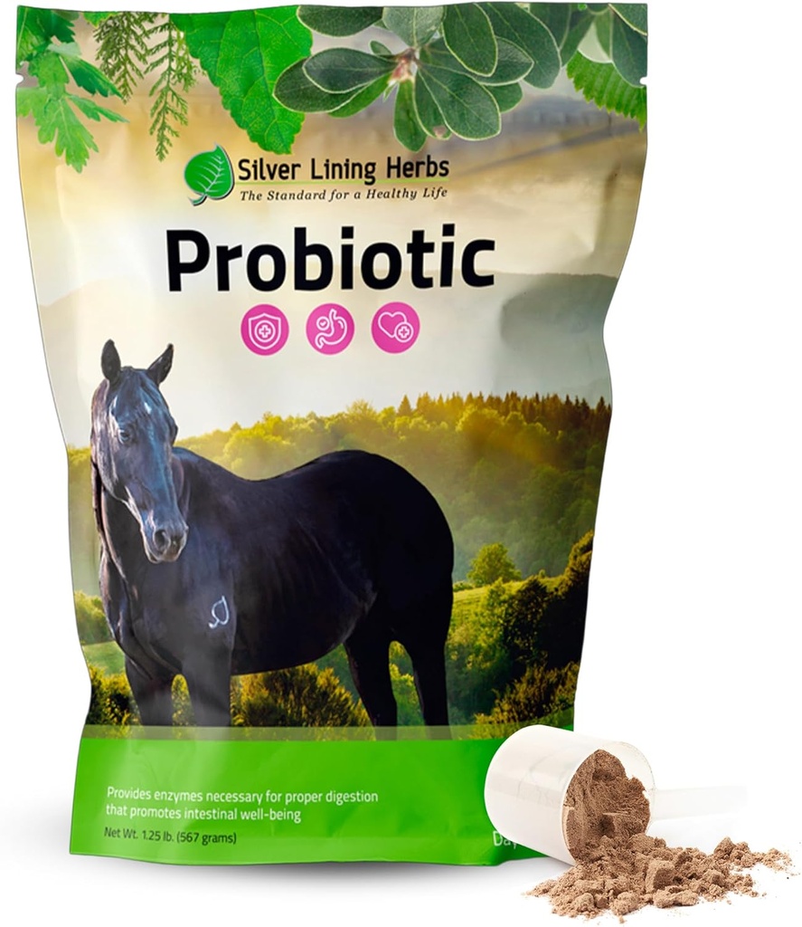Silver Lining Herbs Horse Probiotics Prebavni dodatki - Prebavni Enzyme & Gut Health Probiotic dopolnilo za konje - Vsebuje 13.2 milijard CFUs Probiotični sevi - 1.25 lb 60-dnevno oskrbo