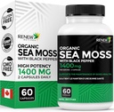 Actives Sea Moss Triple-Action Antioxidant Blend with BioPerine - Organic Irish Sea Moss 500MG, Bladderwrack 500MG eta Burdock Root 400MG 2 kapsulako - Made in Canada - 60 kapsula