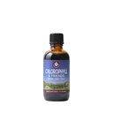 WishGarden Herbs Chlorophyll & Friends - Chlorophyll Liquid Drops with Nettle Leaf, Holy Basil, Moringa Leaf & Peppermint Leaf, Supports Increased Energy, Healthy Immune, & Stress Response, 2oz