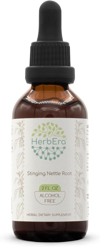 HerbEra Stinging Nettle Root B60 Alcohol-Free Herbal Extract Tincture, Concentrated Liquid Drops Natural Stinging Nettle (Urtica Dioica) 2 fl oz